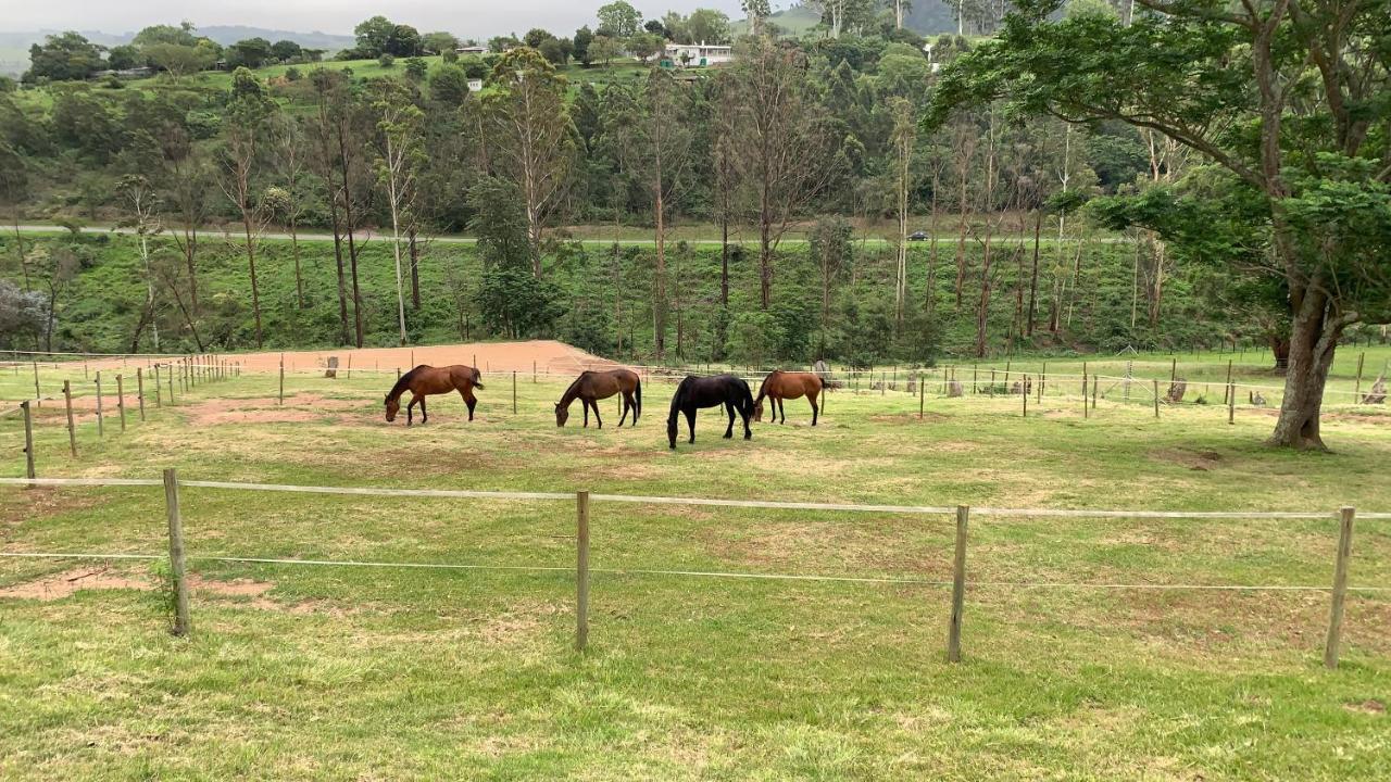 Cavalo Guesthouse & Equestrian Estate Drummond Exteriér fotografie