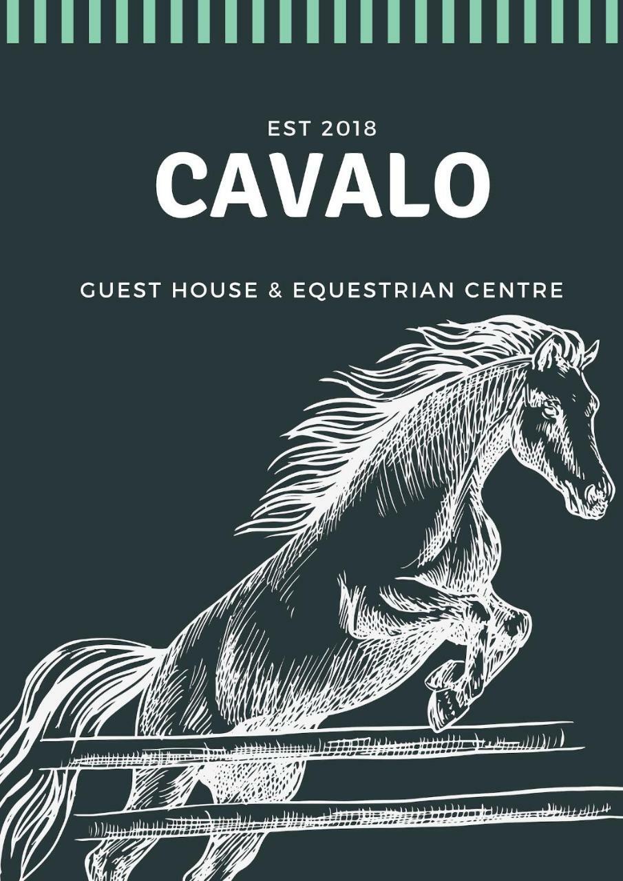 Cavalo Guesthouse & Equestrian Estate Drummond Exteriér fotografie